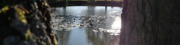 Titelbild - Nachhaltigkeit